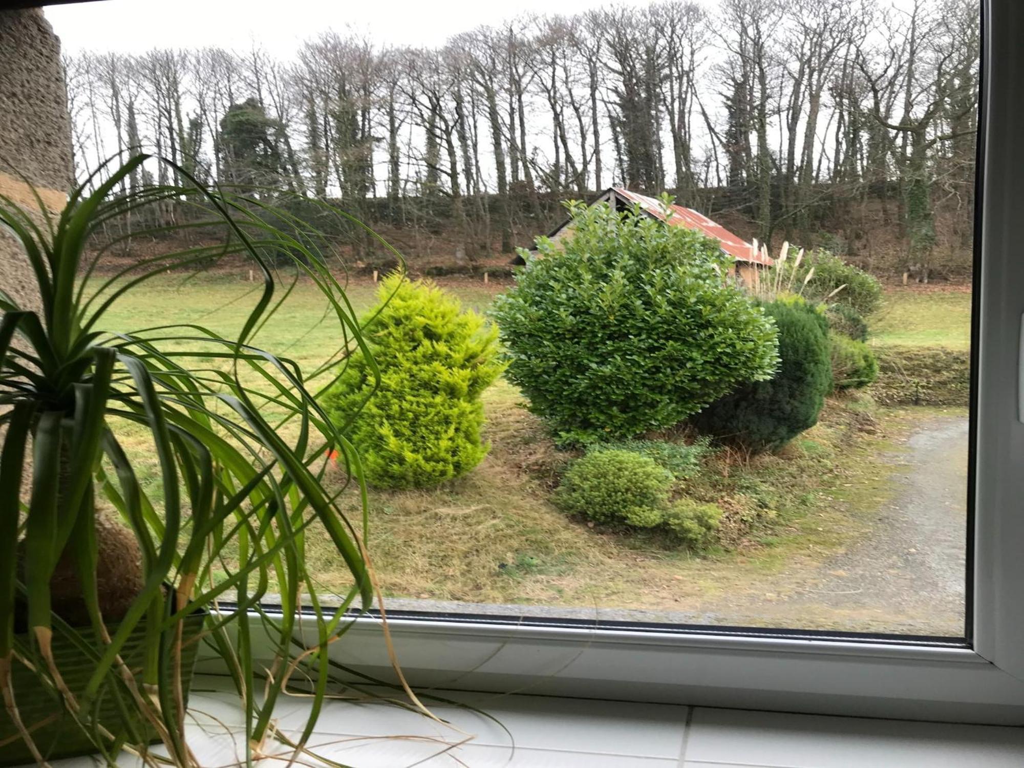 Modern Cottage In Normandy With Large Garden Isigny-le-Buat Exterior foto